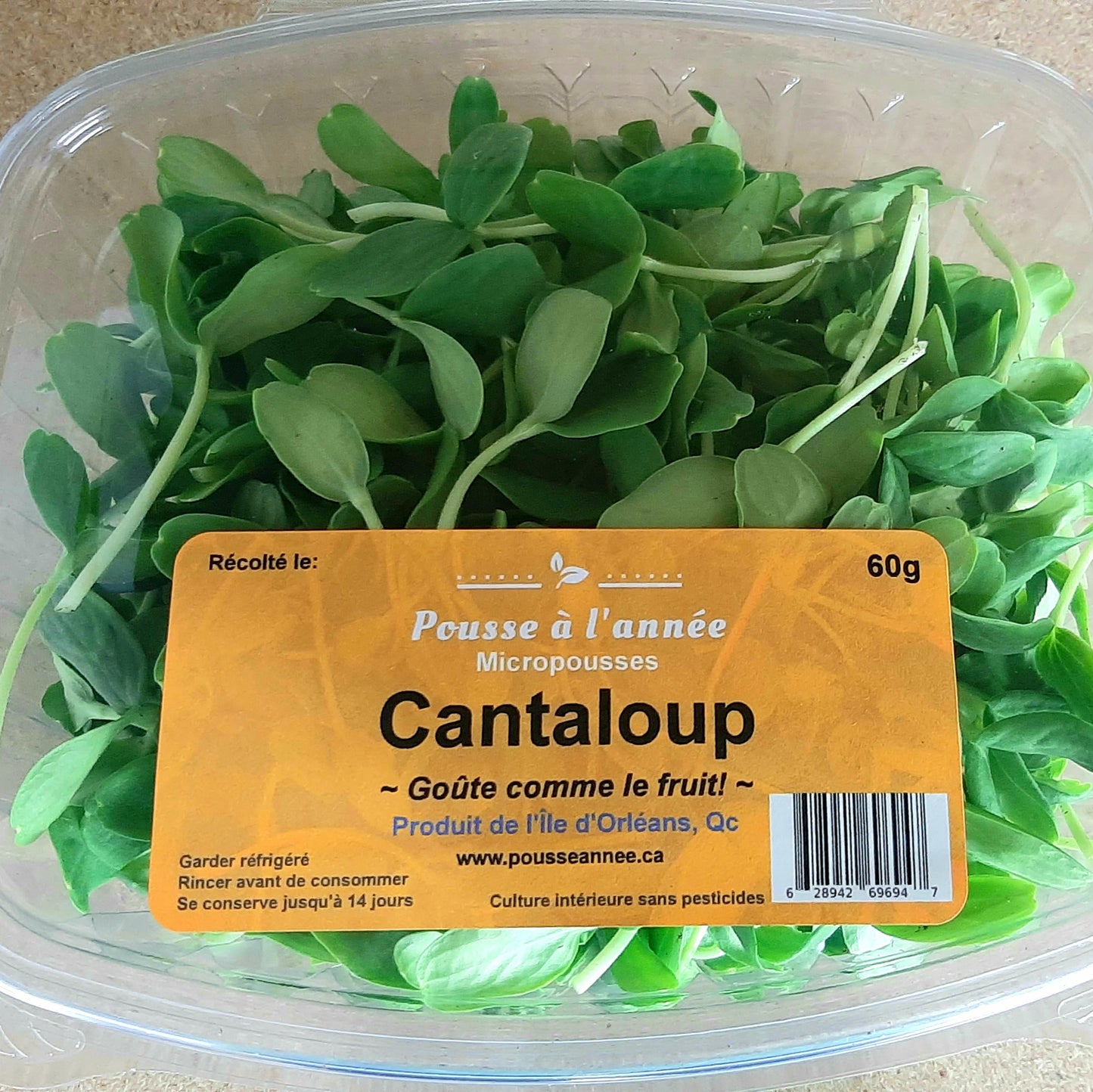 Cantaloup