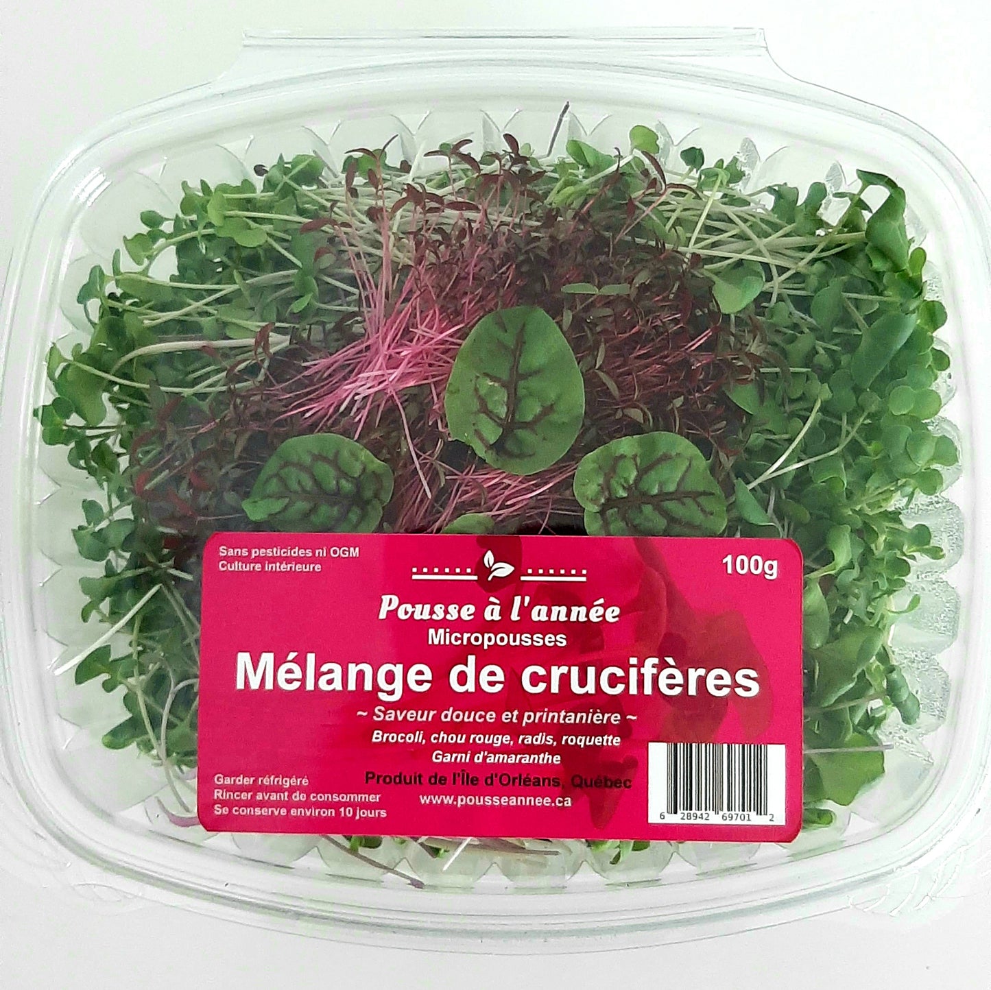 Mélange de crucifères