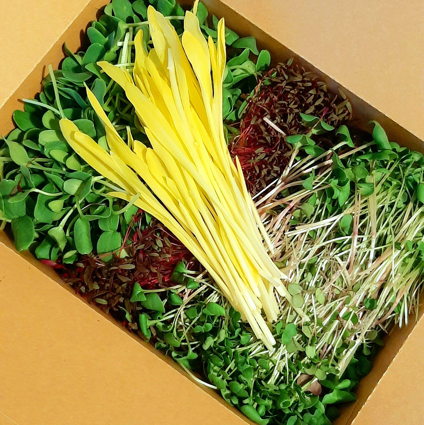 Boîte spéciale choix du chef (Abonnement seulement)