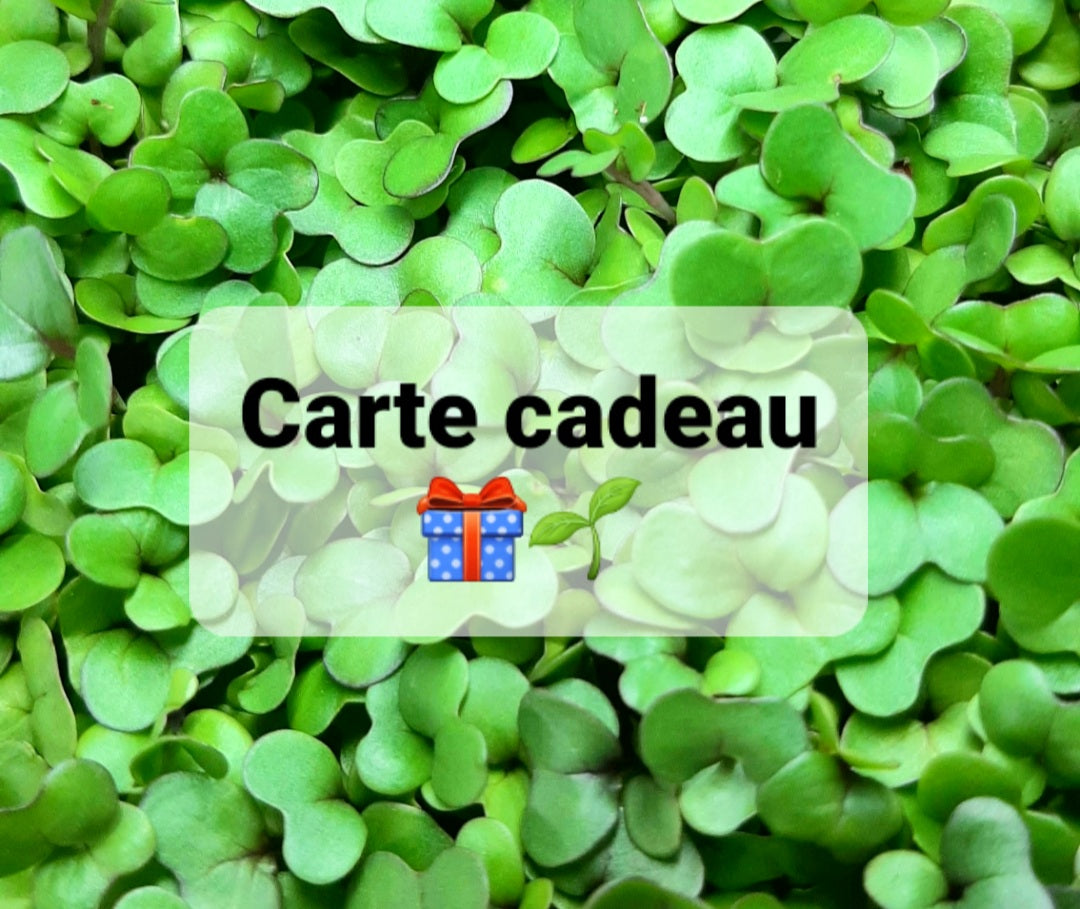 Carte cadeau